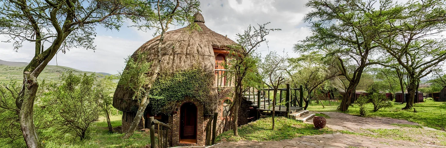 serenaserengeti-76 1.webp